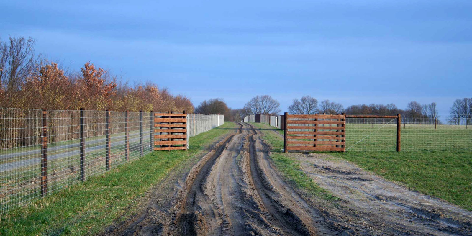 системи огорожі виготовлення оленячі ферми комплексне обслуговування огорожа великих територій Польща